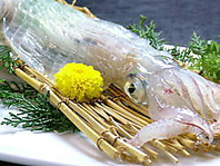 旬魚旬菜うき津の「魚」