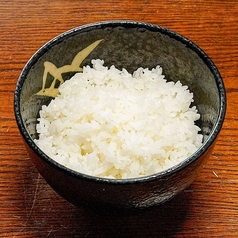 白ごはん