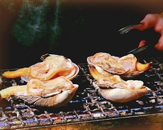 築地 貝徳の写真