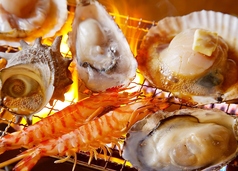 雷屋名物海鮮浜焼き刺身の種類も豊富にあります