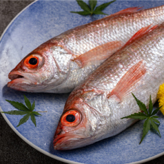 個室居酒屋 凛 RIN すすきの店の特集写真