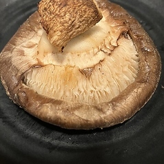しいたけ