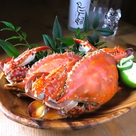 その日釣り上げた新鮮魚介を堪能できる【shio】の料理◎