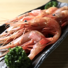 北海道の大地　甘エビ畑