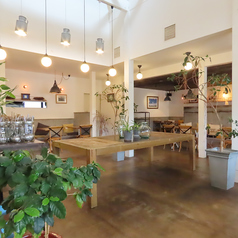 店内の中心に位置する存在感のある大きな木製テーブル席です◎たくさんの観葉植物に囲まれたナチュラルな雰囲気で、大人数でのパーティやお集まり、カジュアルな飲み会にも大活躍する特等席です♪