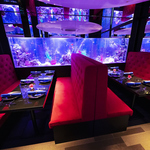 【 全席アクアリウム 】ライトアップされた巨大水槽と店内の照明調整がロマンチックな雰囲気です。