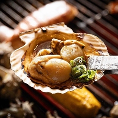力丸 炉ばた焼 たぬき茶屋のコース写真