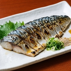 炙りしめ鯖