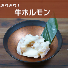 牛ホルモン《しお・みそ》