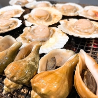 海の恵みを存分に味わえるおすすめメニュー