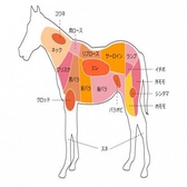 馬肉の部位のご紹介です。ご注文の際のご参考にして下さい。 