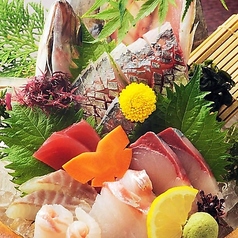 第八飯場丸 錦の特集写真