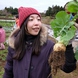 畑から直送の有機・無農薬栽培のお野菜を使用