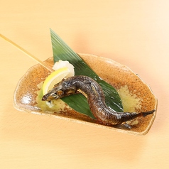 とろイワシ 一本