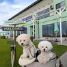 ALOHA TERRACE SETOUCHI アロハテラス セトウチのおすすめポイント2