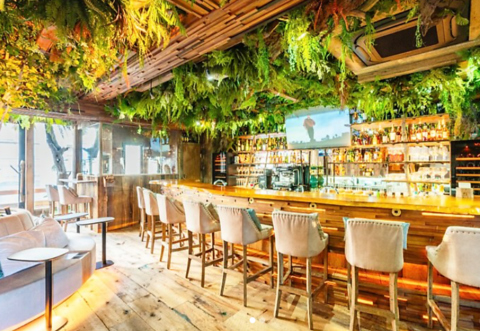 本物のフクロウがいるカフェ＆ダイニングバー