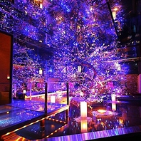 幻想的な非日常空間でおもてなし