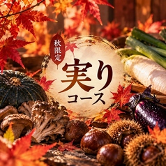 ノモーゼ NOMOW ZE 春日部店のコース写真