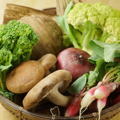 季節の野菜＜焼き　又は　天ぷら＞