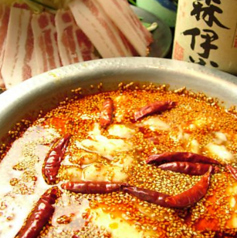 ヨコバチ YOKOBACHI特集写真1