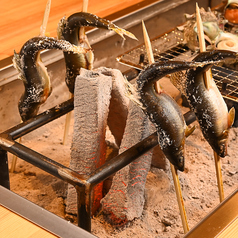 囲炉裏焼き　縁炎の特集写真