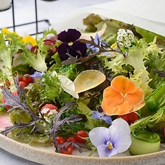 GRIGLIA Pagina特集写真1