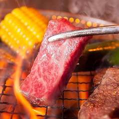 焼肉　銀しゃり　直球ホルモン　井尻店の雰囲気1