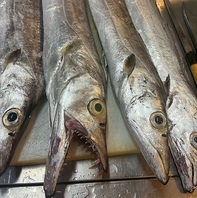 特大の太刀魚入荷しております！