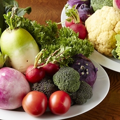 鎌倉野菜を使った料理