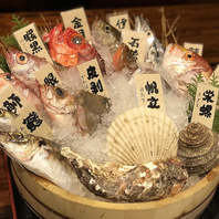 【新鮮で旬な魚介類】三宮で市場直送の豪華魚介類を満喫