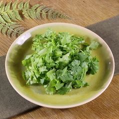 パクチーサラダ