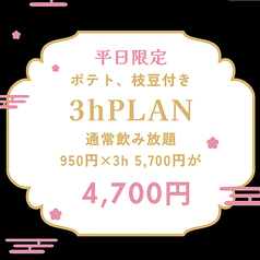 Luxury Karaoke Oasis オアシス すすきののコース写真