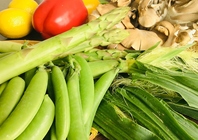 野菜が美味しい季節がやってきました♪