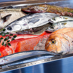 海鮮居酒屋 三ノ宮産直市場 JR三宮東口店の写真2