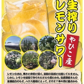 だいにんぐ dorami どらみのおすすめ料理2