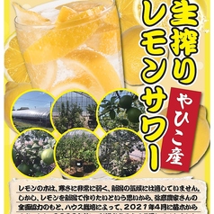 だいにんぐ dorami どらみのおすすめ料理2