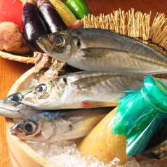 食彩 水嶋家のコース写真