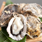 個室居酒屋 雪の村 新橋店特集写真1