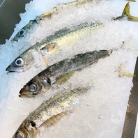 食材の旨みを最大限に引き出したこだわりメニューが多数