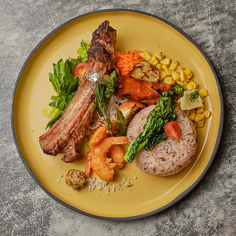 MOLNODA NIGHT BASEm_ iCg x[X