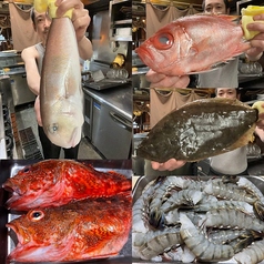 IZAKAYA SYURAKU 酒樂の写真2