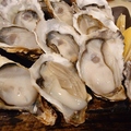 料理メニュー写真 牡蠣