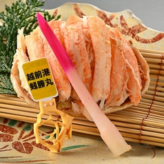 越前漁港直送 セイコ蟹(11月・12月のみご提供)