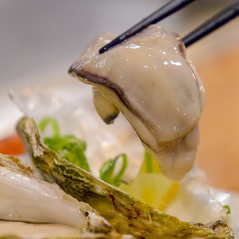 牡蠣料理や広島のソウルフードを贅沢に味わう大人たちのための隠れ家的鉄板居酒屋