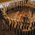 囲炉裏あみ定のおすすめ料理1