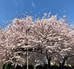 北の台所 おんじき 八王子の写真