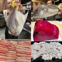 日替わりオススメ鮮魚！2025/12/26 今日のオススメ♪