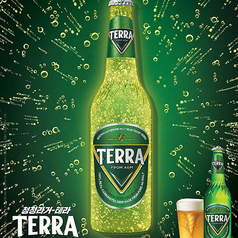 TERRA（韓国ビール）