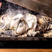 産地直送の牡蠣を豪快に1キロ使用した蒸し牡蠣は、見た目のインパクトも抜群。ふっくら蒸し上げることで牡蠣本来の旨みと甘みを存分に楽しめます。シェアしやすく、宴会や飲み会でも盛り上がる人気メニュー。写真映えも良く、五反田の海鮮居酒屋らしい名物料理です。