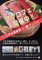 【マグロフェア開催中】八戸水産高校×ごっつり